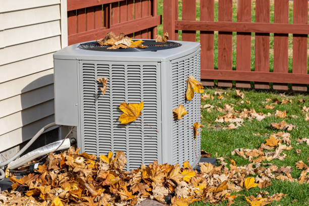 Best Best HVAC companies  in Burley, WA